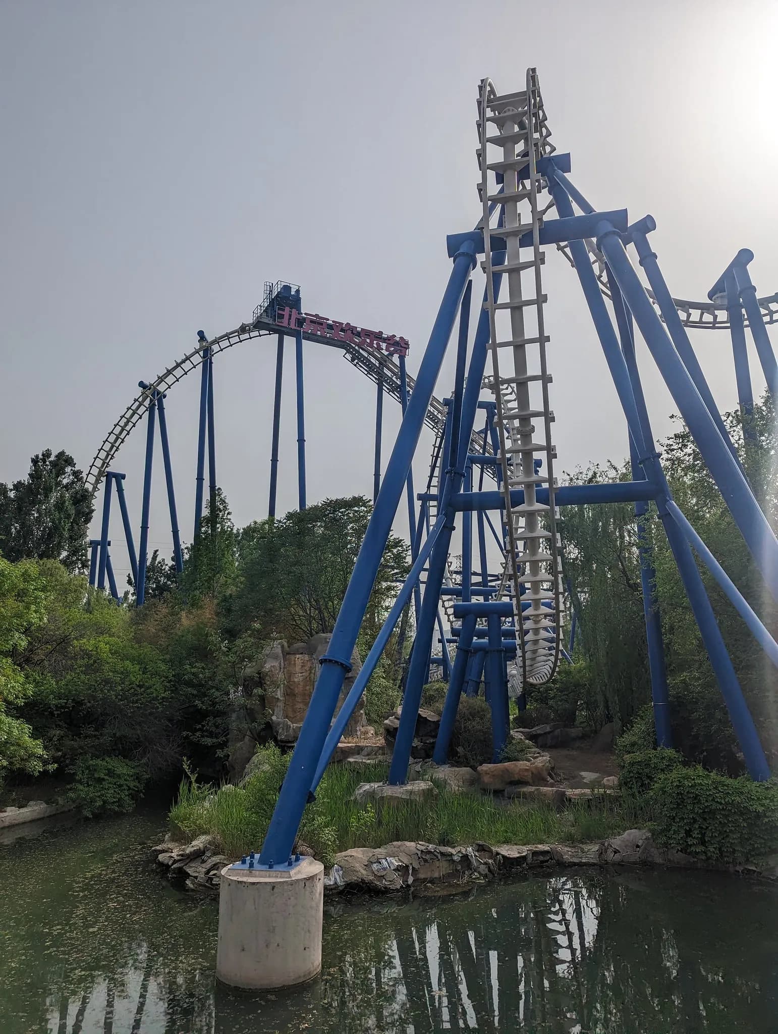 Golden Wings over the Snowfield