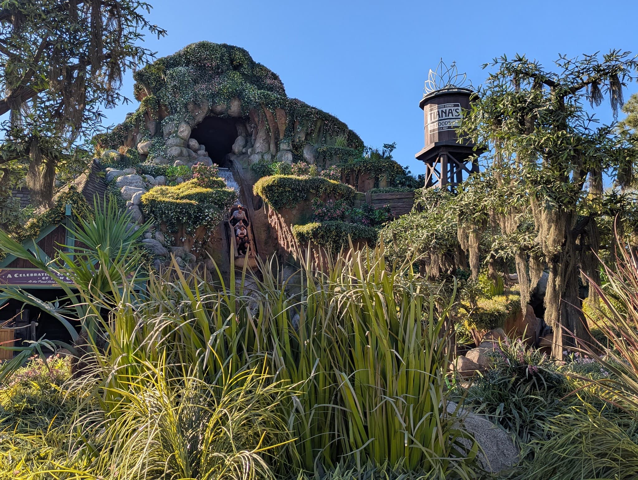 Tiana's Bayou Adventure