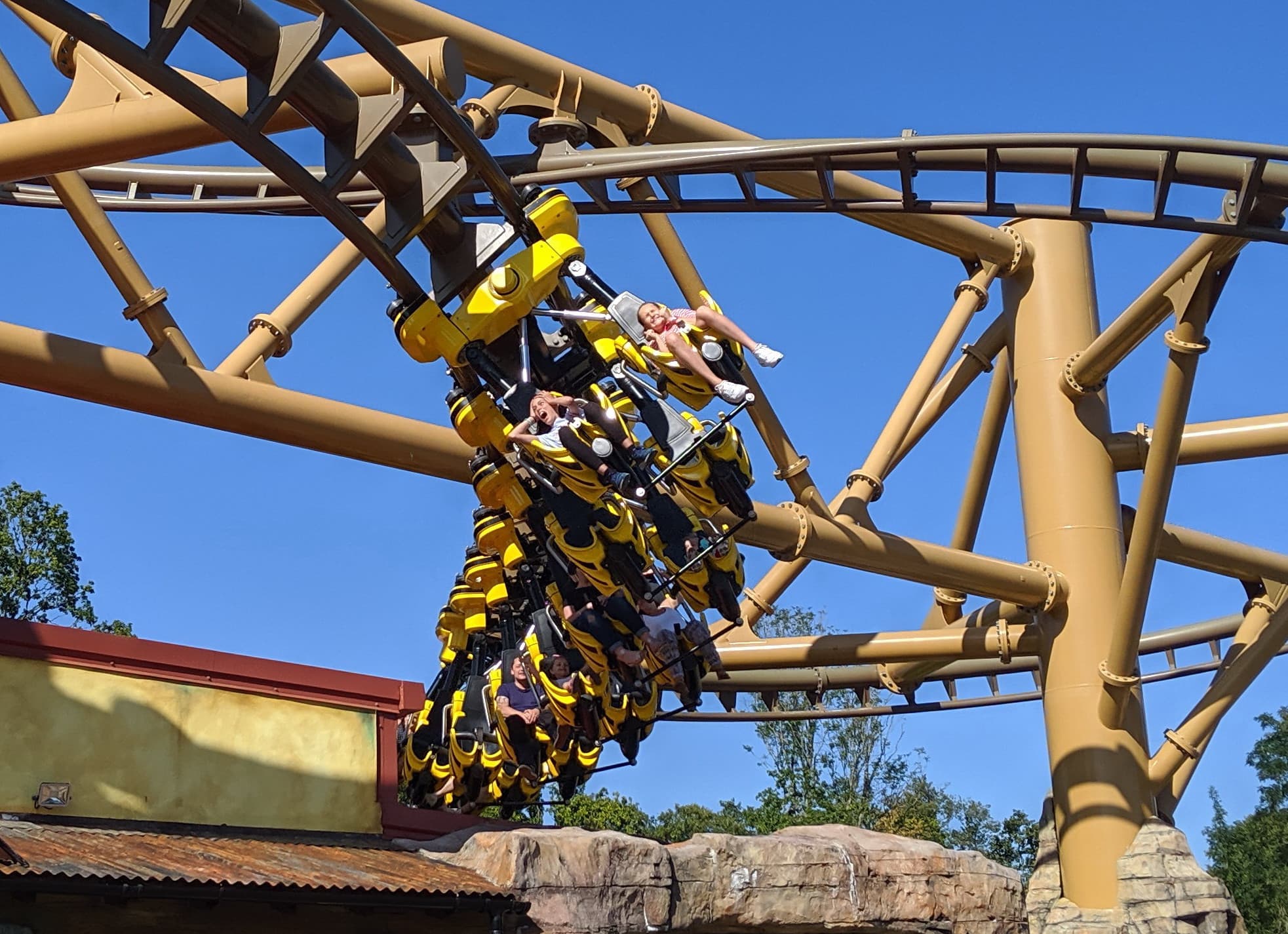 Flight of the Pterosaur